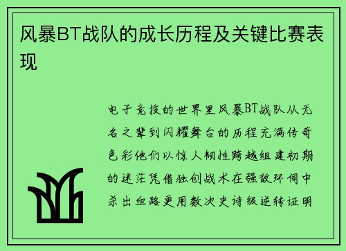 风暴BT战队的成长历程及关键比赛表现